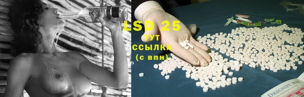 ГАЛЛЮЦИНОГЕННЫЕ ГРИБЫ Нягань