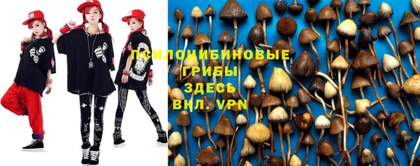 ГАЛЛЮЦИНОГЕННЫЕ ГРИБЫ Нягань