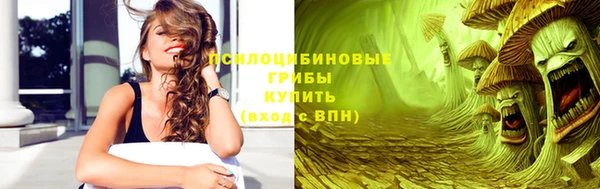 крисы Нестеровская